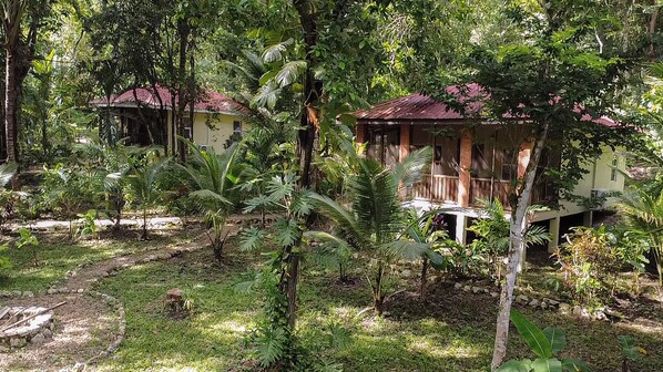 Una casa de madera rústica rodeada de densa vegetación tropical.