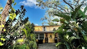 Um edifício amarelo com um caminho de tijolos que leva a uma porta, rodeado por vegetação exuberante e árvores.