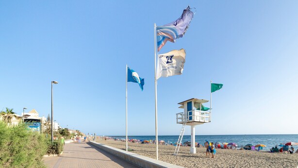 Ein Strand mit Flaggen, einem Rettungsschwimmturm und Sonnenschirmen.