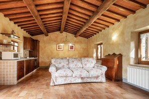 TV, fireplace - Apartment 'Colline' with Shared Terrace, Shared Garden and Wi-Fi (Radicofani)