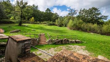 Un escalier en pierre rustique mène à une terrasse en bois, qui est entourée d’une végétation luxuriante et s’ouvre sur un ciel dégagé.