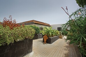 Property grounds - Vacation Apartment 'Estudio Universidad En La Laguna' with Terrace, Shared Garden and Wi-Fi (La Laguna)