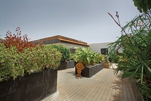 Property grounds - Vacation Apartment 'Estudio Universidad En La Laguna' with Terrace, Shared Garden and Wi-Fi (La Laguna)