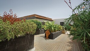 Un patio con suelo de baldosas, plantas en macetas y una estatua.