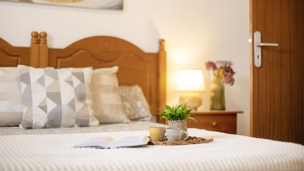 Een opgemaakt bed met kussens, een kleine plant in pot en een kopje op een nachtkastje.