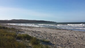 A beach with waves, a distant hill, and sparse vegetation.