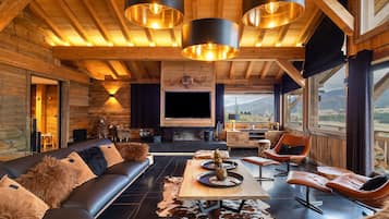 电视、壁炉、游戏机