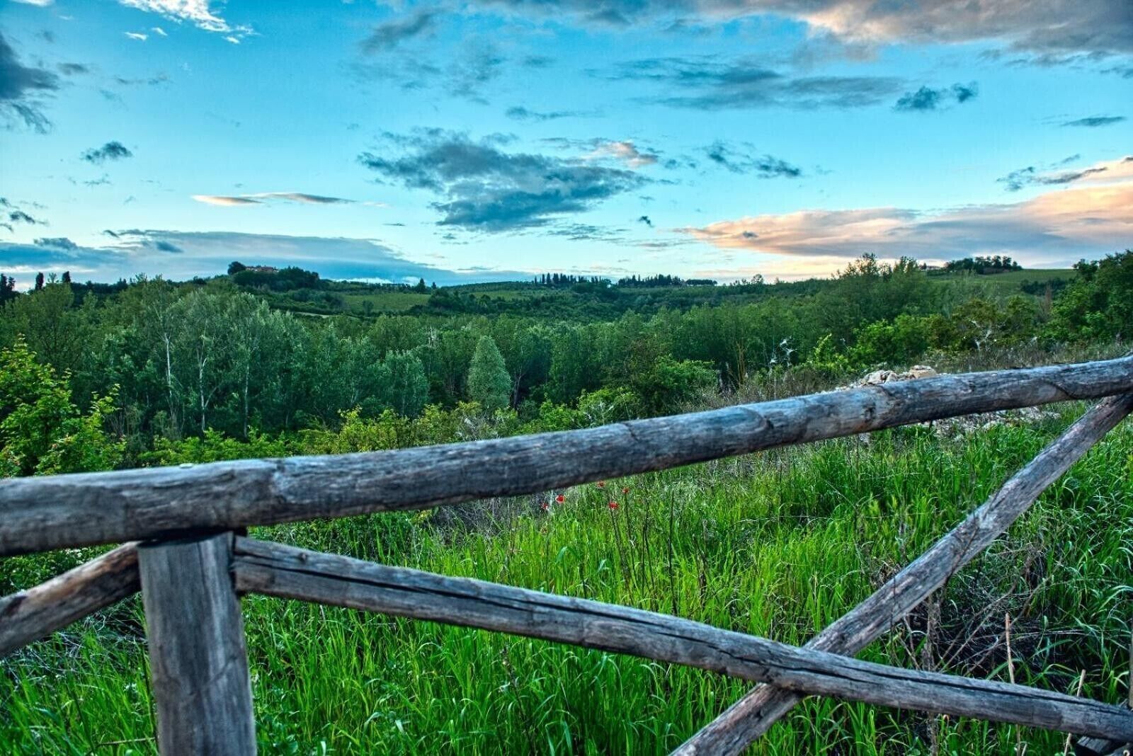 Una cerca de madera con vistas a un paisaje verde y árboles.