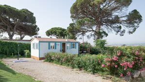 Una casa pequeña de un solo piso con fachada azul y blanca, rodeada por un camino de grava y un jardín con flores rosadas.