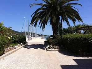 Uma trilha pavimentada que leva a uma marina com barcos, uma palmeira e um céu azul límpido.