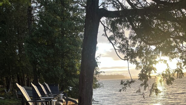 A wooden dock with benches overlooking a calm lake, surrounded by trees. - Modern Lake House on White Lake (White Lake)