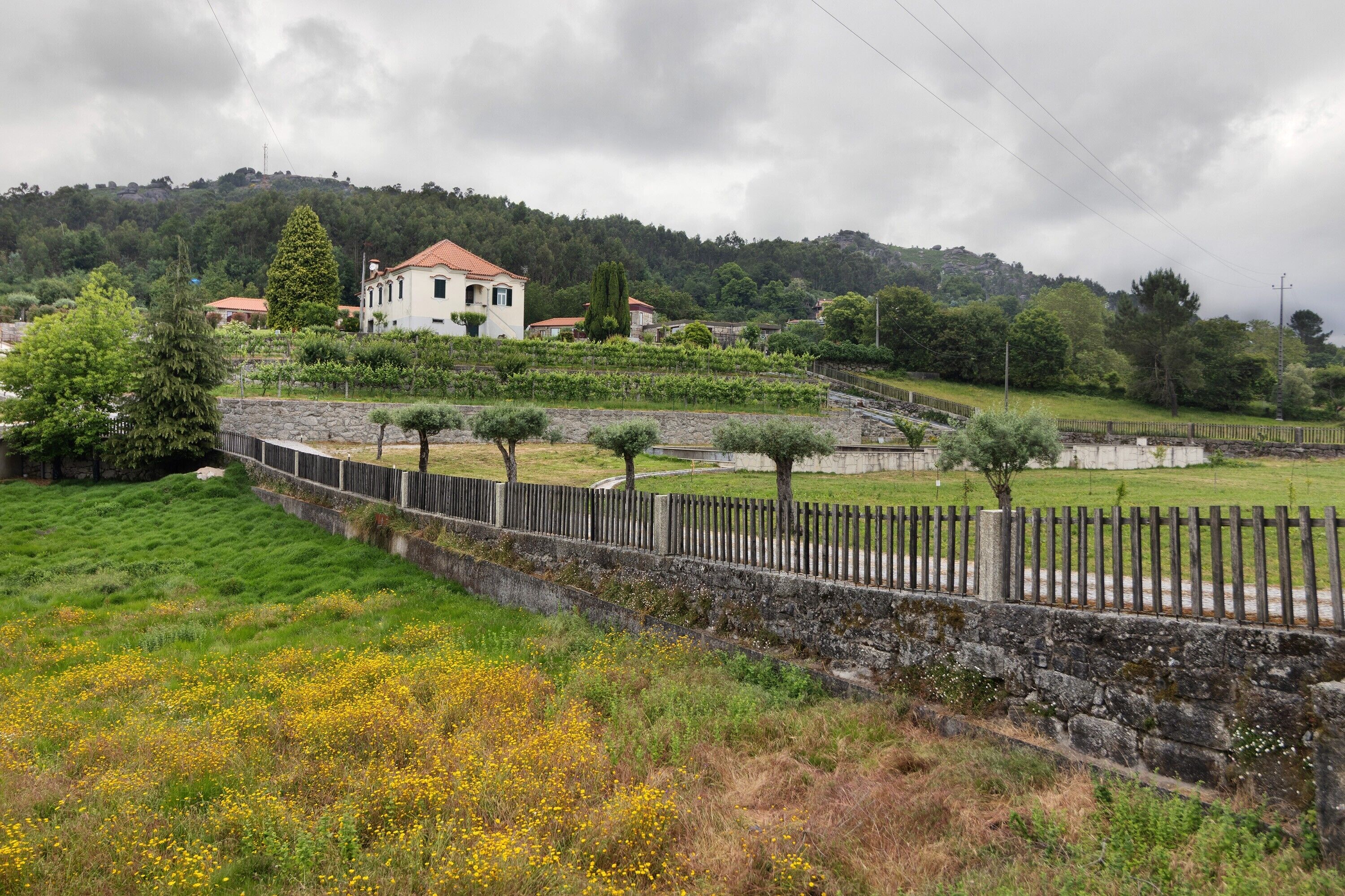 A rural landscape with a stone wall, a wooden fence, and a house with a red roof.
