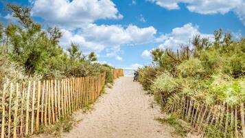 Un sendero arenoso bordeado por vallas de madera que lleva a una playa.