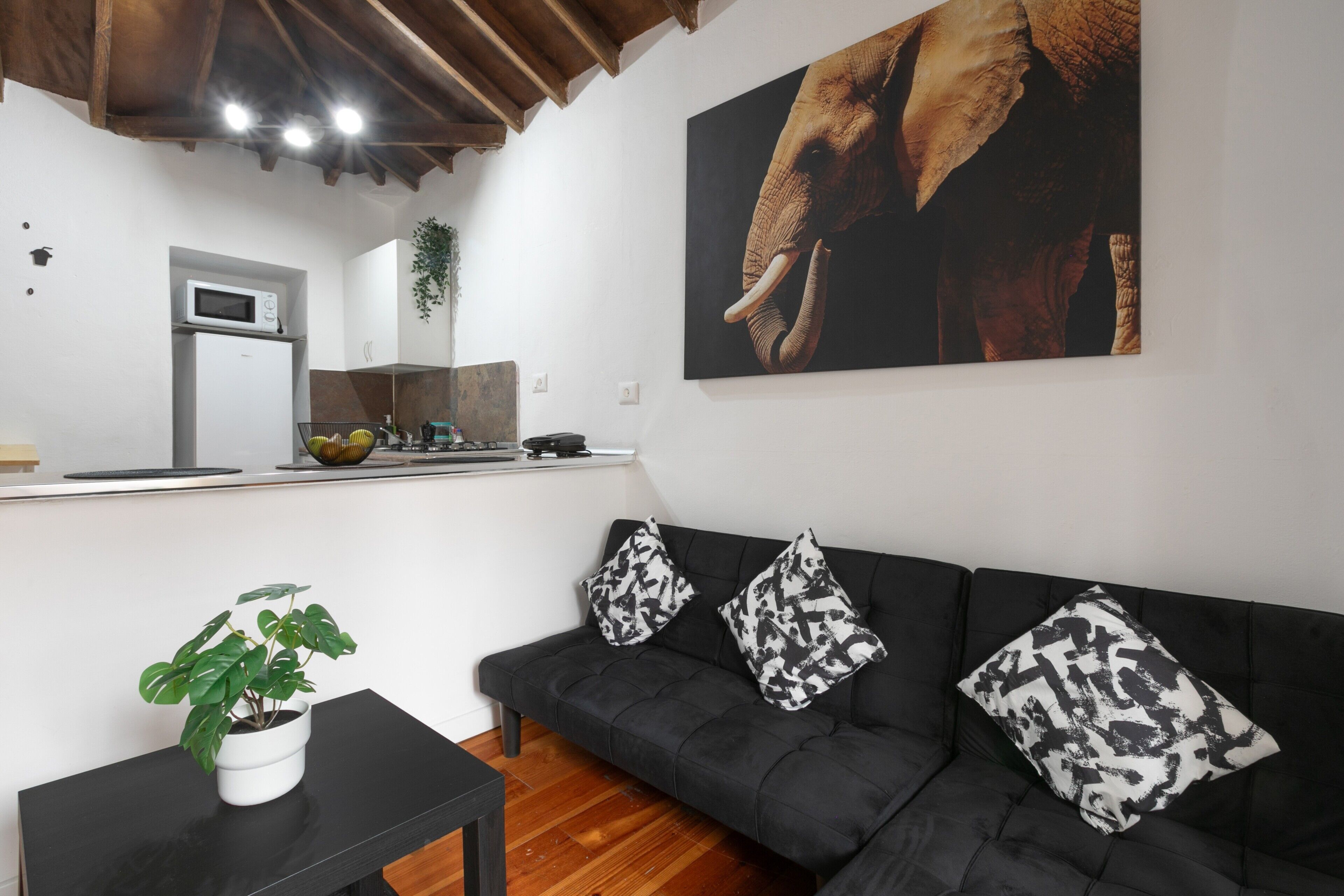 Una sala de estar con un sofá negro, una pequeña mesa con una planta, un área de cocina con refrigerador y microondas, y un cuadro grande de un elefante en la pared.