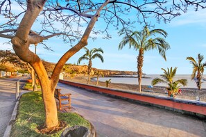 A paved walkway with benches, palm trees, and a view of the beach and ocean.