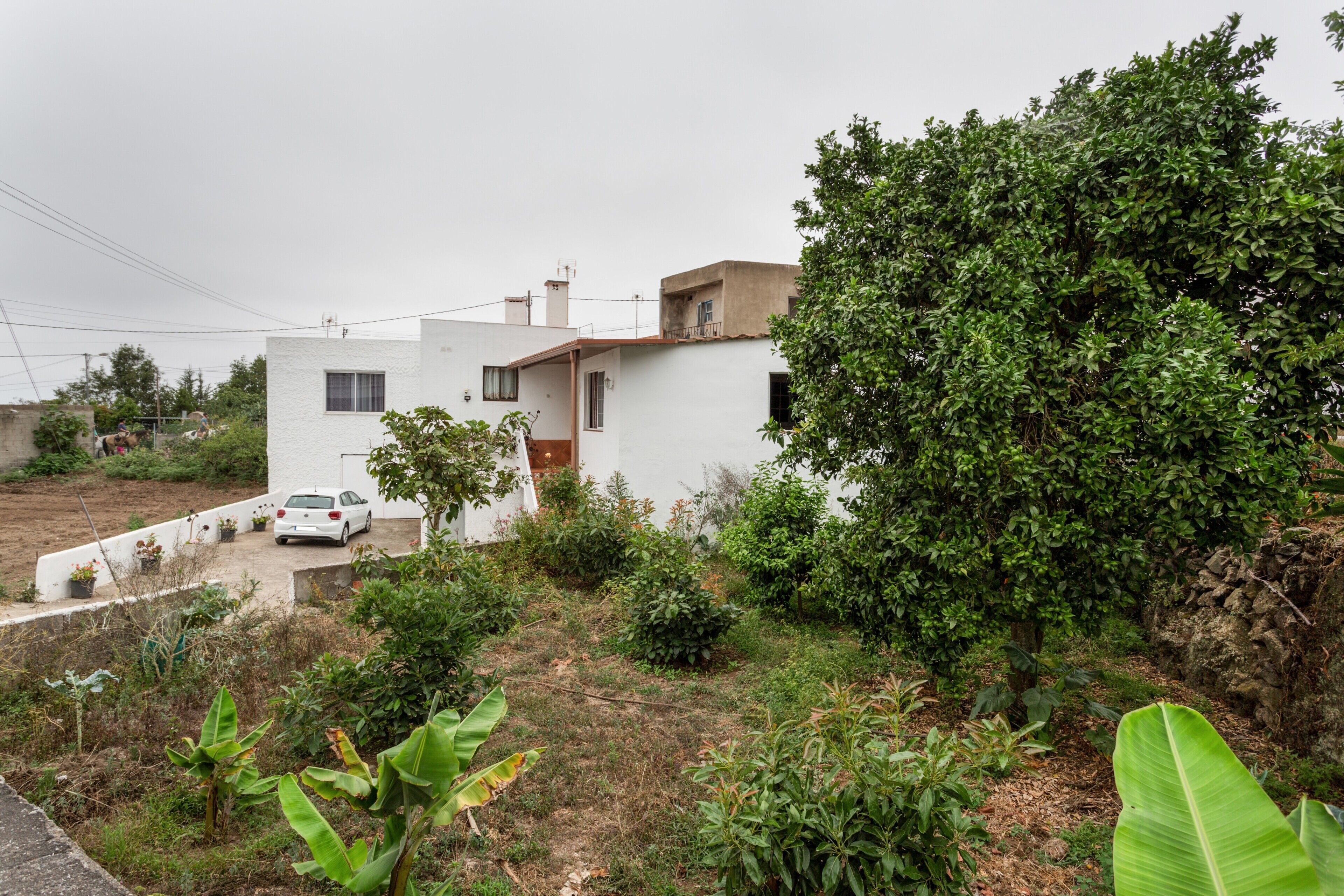 A white building with a car parked in front, surrounded by greenery and a large tree.