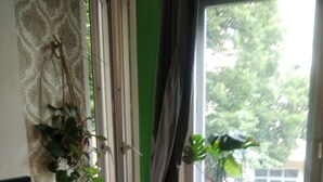 A room with a green wall, a window with a view of trees, a wicker chair with a cushion, and a television on a cabinet. - Cosy alternative Apartment (Berlin)