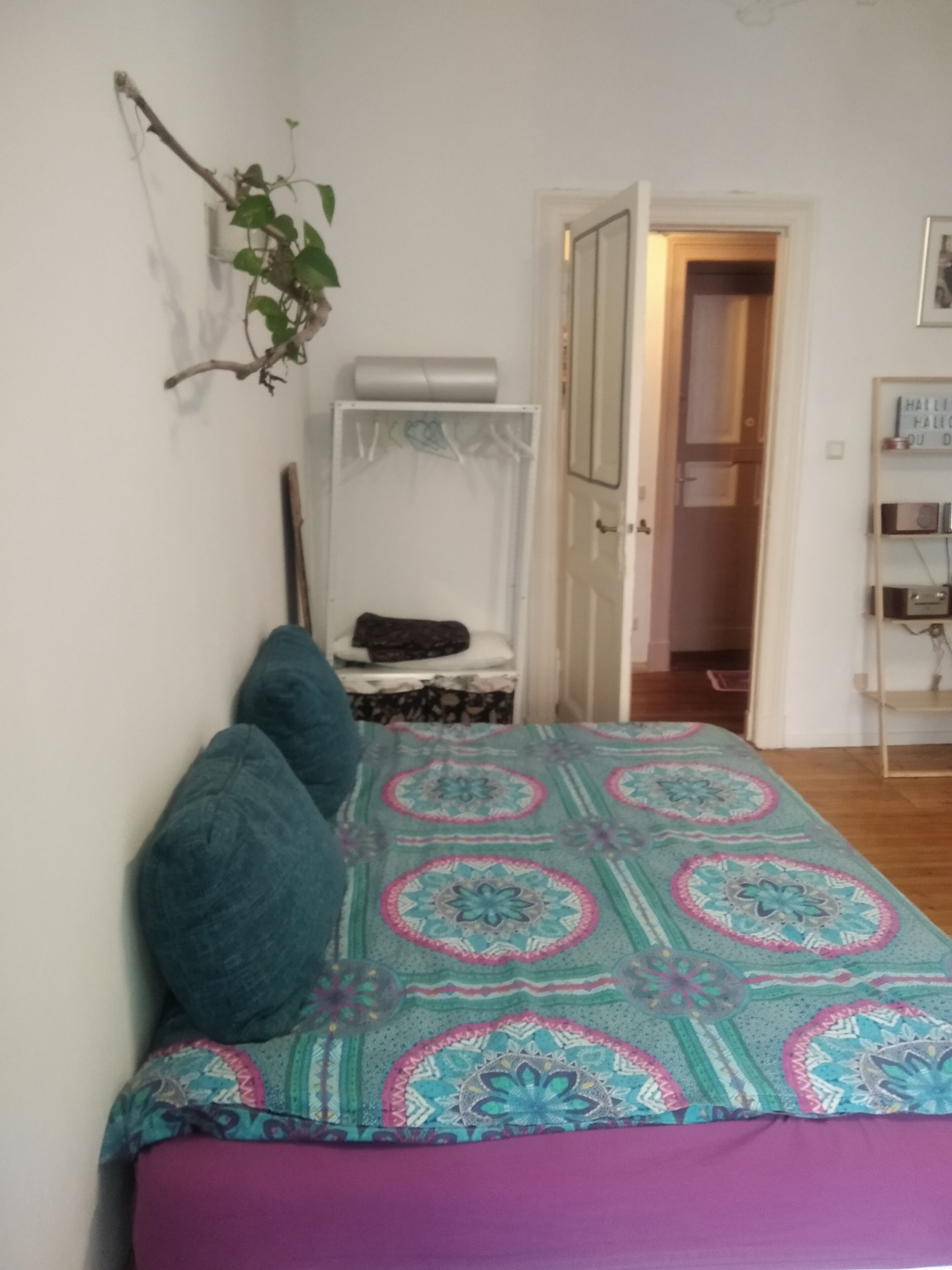 A bedroom with a bed, pillows, a hanging plant, a wardrobe, and a door leading to another room.