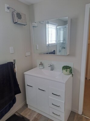 Shower, hair dryer, toilet paper