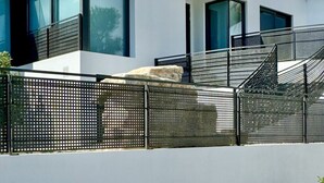 Una casa moderna de dos pisos con grandes ventanales, un balcón y un camino de piedra que lleva a la entrada.