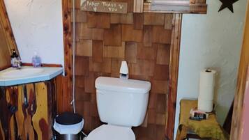 Shower, eco-friendly toiletries, hair dryer, towels