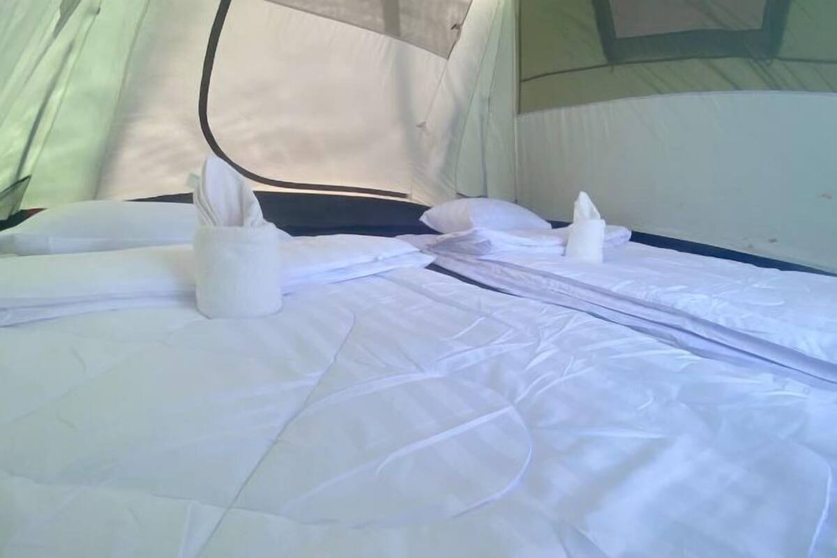 Soundproofing, WiFi (free), bed sheets