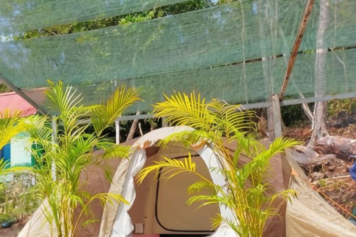 A tent-like structure with a tarp roof, surrounded by greenery.