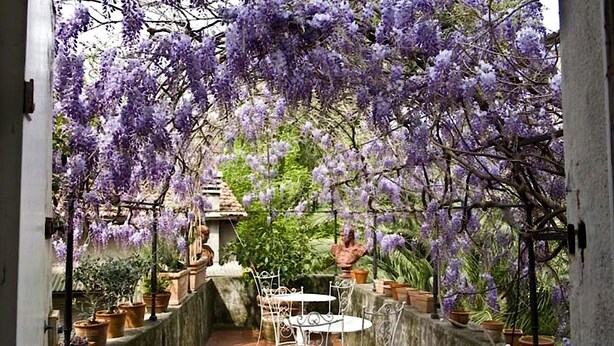 Un espace extérieur aménagé en jardin, avec un chemin en pierre, des chaises et des tables en métal blanc, le tout entouré d’arbres en fleurs aux teintes violettes.