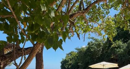 Spacious Modern Villa Near Ocho Rios | Sleeps 6