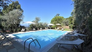Ein Swimmingpool mit Liegestühlen und Sonnenschirmen, umgeben von Bäumen und blauem Himmel.