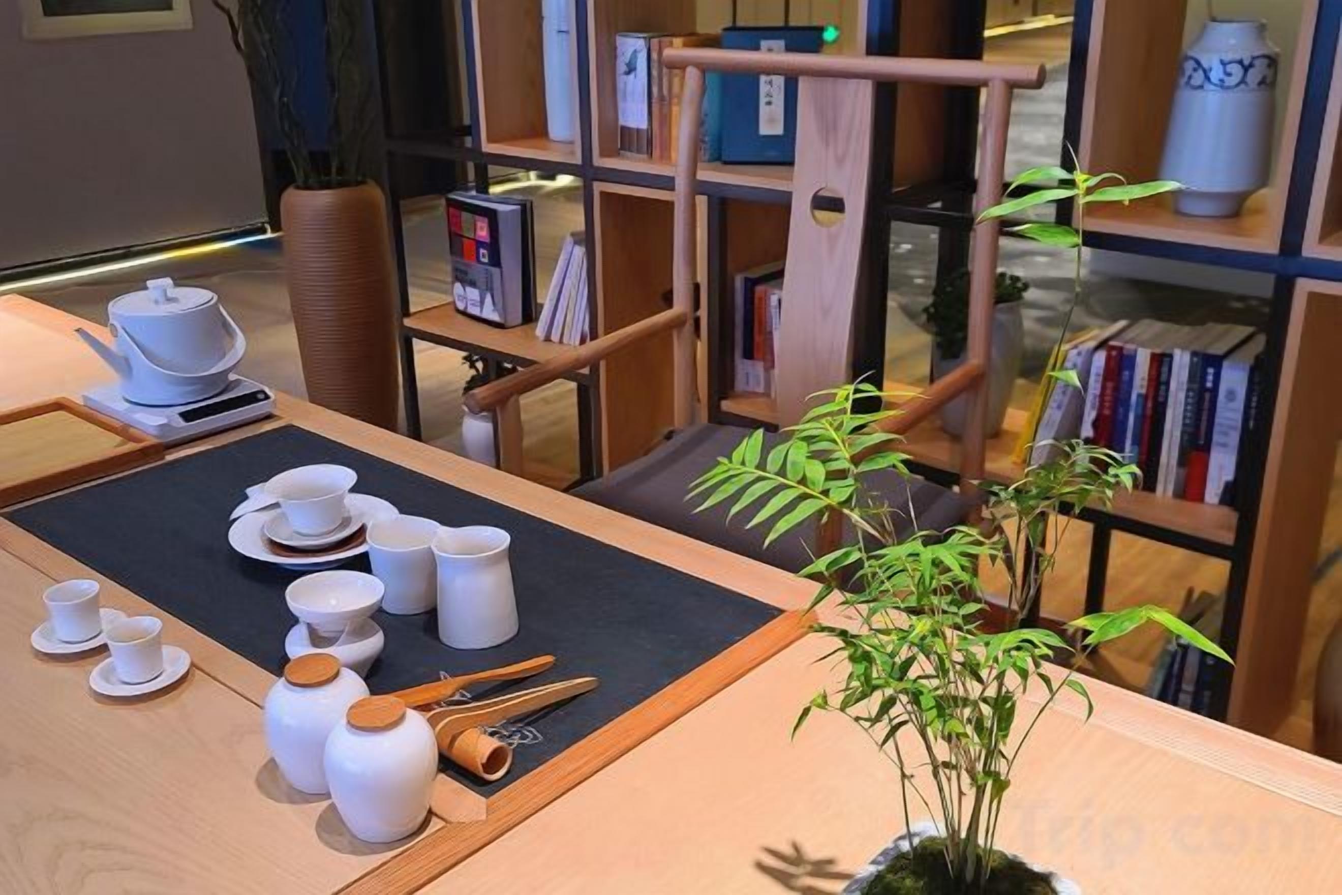 Une table avec un service à thé et une plante en pot, entourée d’étagères à livres et d’une chaise en bois.