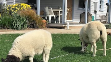 Speisen im Freien