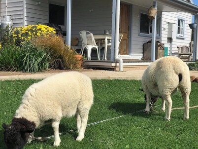 A Cottage of comfort on historic farm -Long John Cottage 
