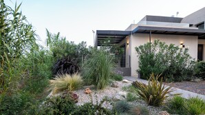 Une maison moderne dotée d’un jardin où l’on trouve différentes espèces de plantes et un chemin bordé de gravier.