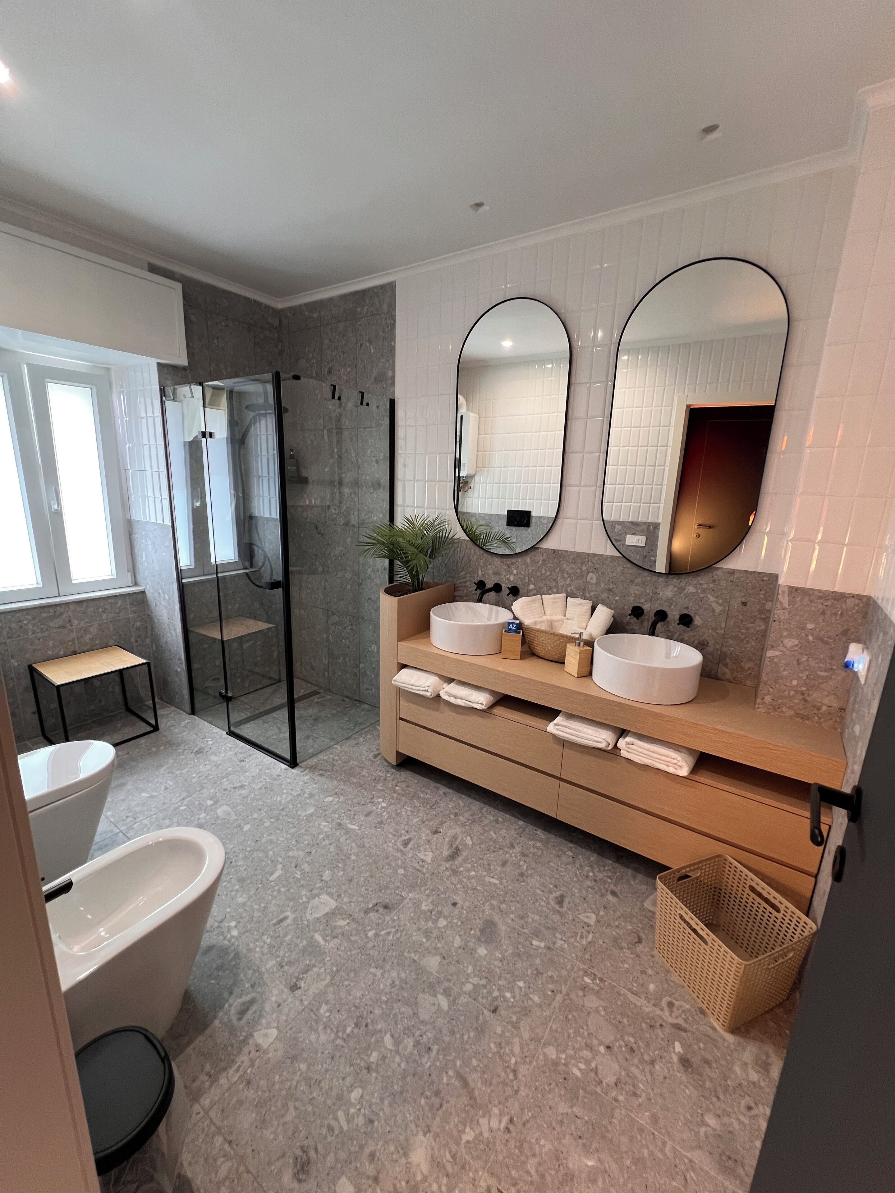 Shower, hair dryer, bidet, towels