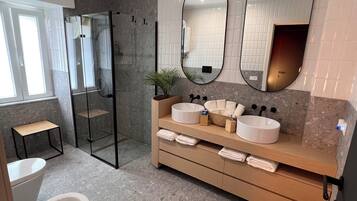 Shower, hair dryer, bidet, towels