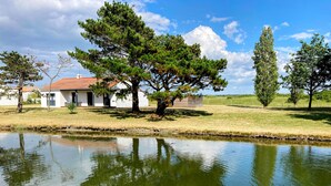 A house with a red roof, a pond, and surrounding trees.