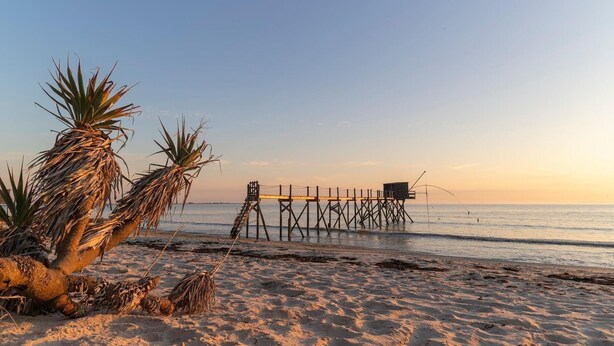 A beach with a wooden pier extending into the water, palm trees, and a clear sky.