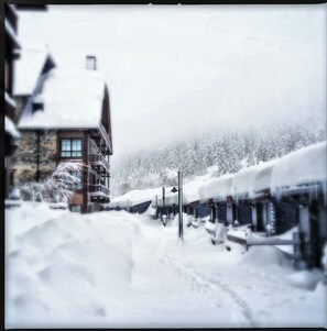 Exterior - BAQUEIRA URBANIZAC RUDA BLANHIBLAR APARTMENT FOR UP TO 7 PEOPLE,  (Baqueira)