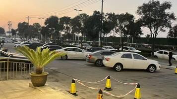 A parking lot with multiple cars and a potted plant.
