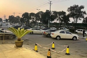 Un estacionamiento con varios coches y una planta en maceta.