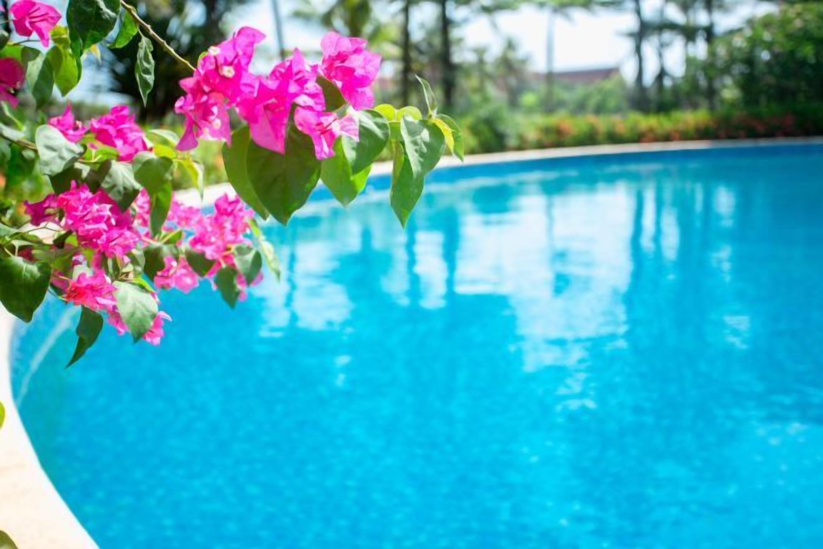 A swimming pool with clear blue water, surrounded by greenery and pink flowers.