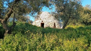 Una cabaña de piedra rodeada de olivos y vegetación.