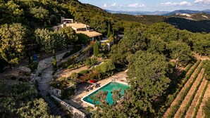 A villa with a swimming pool surrounded by lush greenery and vineyards. - Fabulous houses with breathtaking views in a peaceful and stunning environment (Suzette)