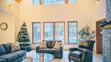 Smart TV, caminetto, libri