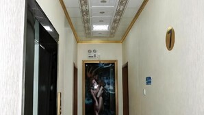 En hall med en dörr, en inramad tavla och ett tak med en lampa.