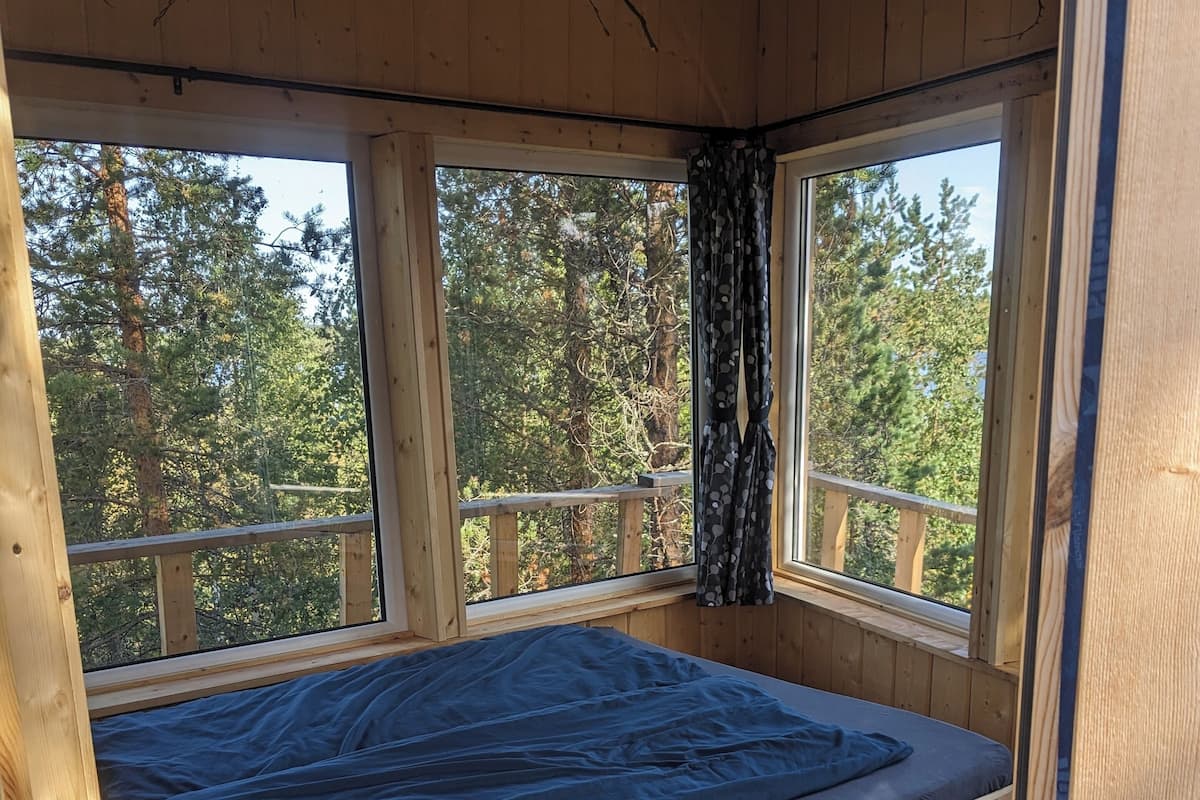 A wooden cabin with a single bed, large windows, and a view of a forest.
