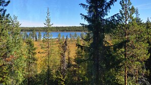 A forested area with a lake and a clear sky. - Aurora Lodge (Arvidsjaur)