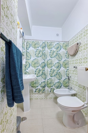 Secador de cabelo, bidê, toalhas de banho, sabonete