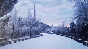 A snow-covered pathway with benches and trees, leading towards a tall tower. - Hengyang Nanyue Hengshan Qingshan Yunju (Hengyang)